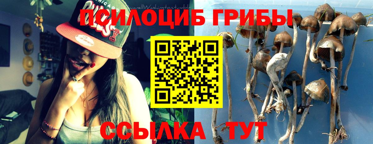 Галлюциногенные грибы мицелий  Вход с VPN  Бугуруслан 