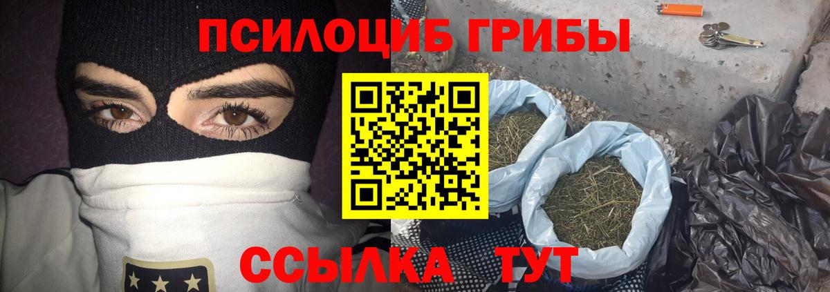 Галлюциногенные грибы Cubensis Бугуруслан